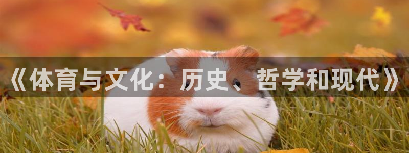 oety欧亿体育官网下载招商电话号码查询：《体育与文