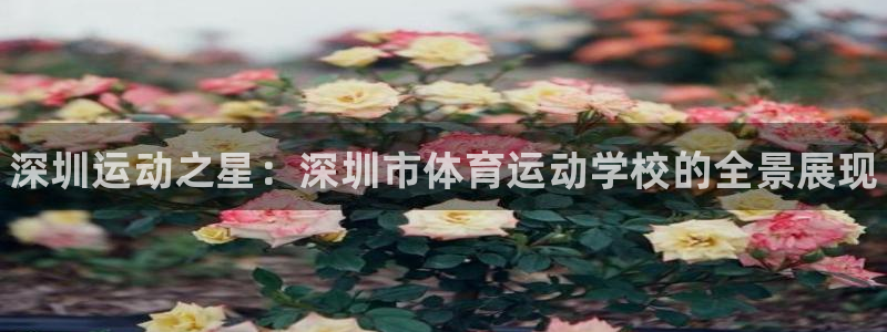 oety欧亿体育官网下载招商电话号码：深圳运动之星：