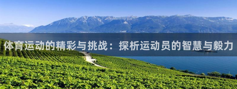oety欧亿体育官网下载平台是正规平台吗安全吗：体育