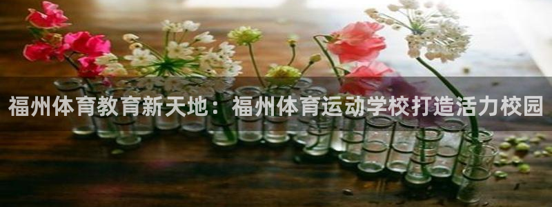 oety欧亿体育官网下载：福州体育教育新天地：福州体