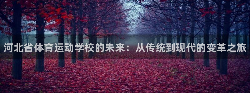 oety欧亿体育官网下载联系电话：河北省体育运动学校的未来：
