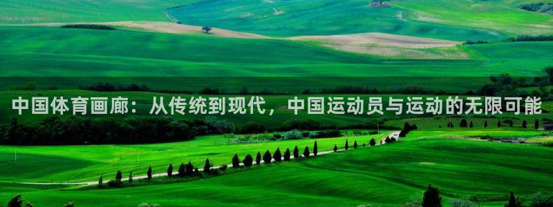 欧亿体育官方正版app集团官网网址：中国体育画廊：从传统到现