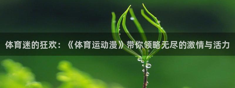 欧亿体育官方正版app集团官网网址：体育迷的狂欢：《体育运动