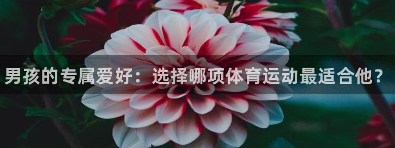 oety欧亿体育官网下载平台假的吗是真的吗吗：男孩的专属爱好