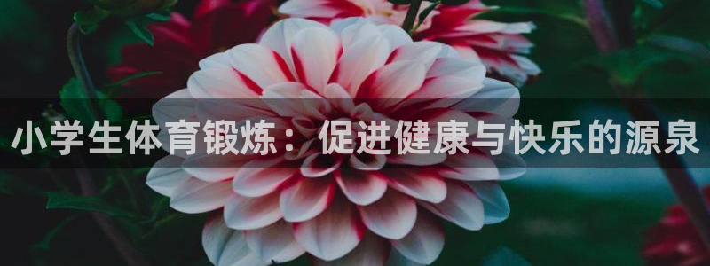 欧亿体育官方平台体育：小学生体育锻炼：促进健康与快乐