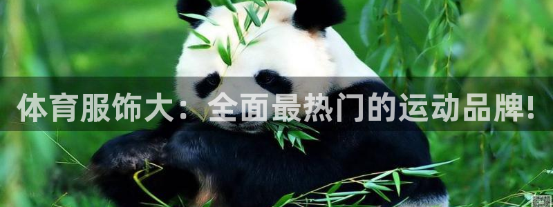 欧亿体育官方正版app官方：体育服饰大：全面最热门的运动品牌