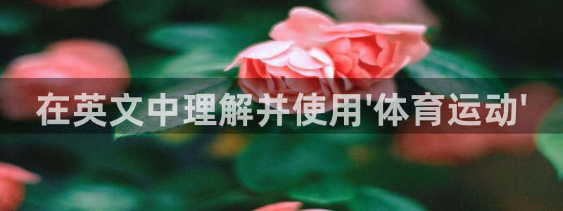 欧亿体育官方正版app集团官网首页：在英文中理解并使