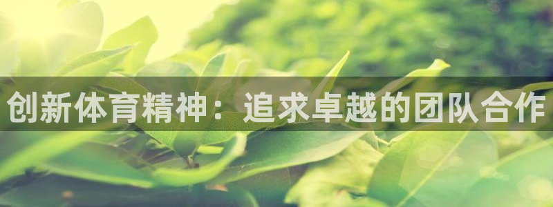 欧亿体育官方正版app娱乐是那个系列的台子：创新体育精神：追