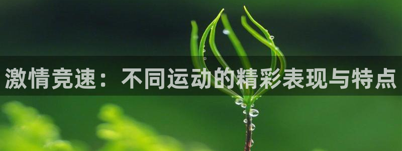 海南oety欧亿体育官网下载：激情竞速：不同运动的精