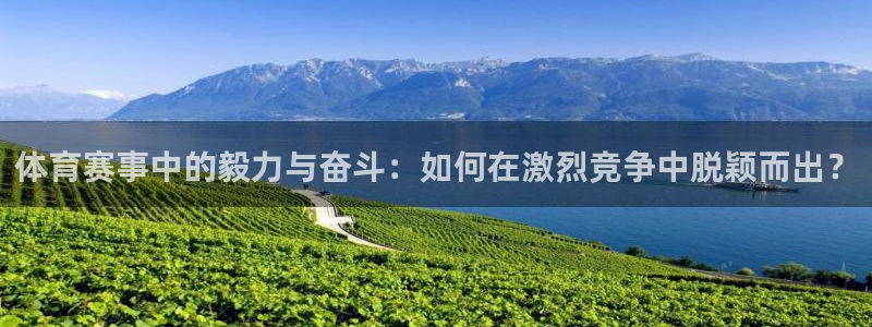 欧亿体育官方正版app集团logo：体育赛事中的毅力